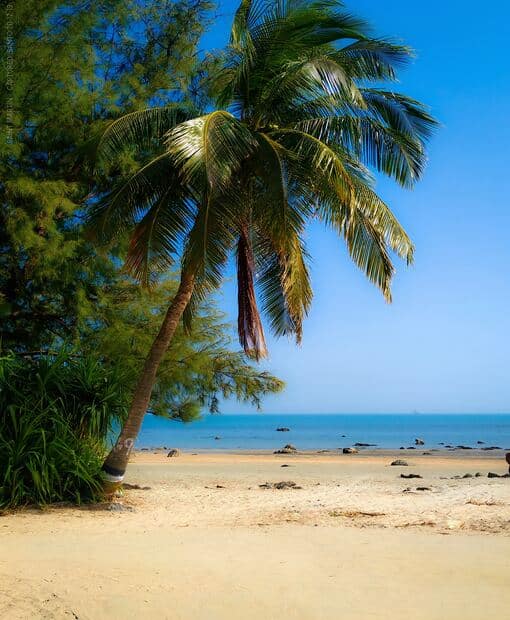 Saint Martin